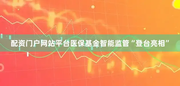 配资门户网站平台医保基金智能监管“登台亮相”