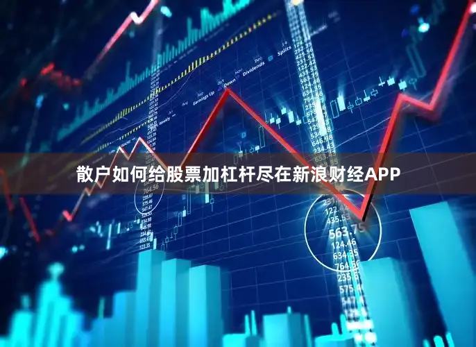 散户如何给股票加杠杆尽在新浪财经APP