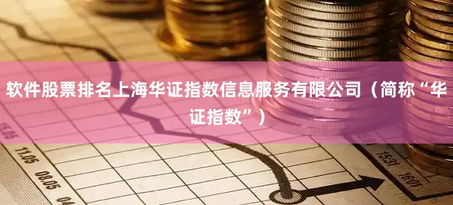 软件股票排名上海华证指数信息服务有限公司（简称“华证指数”）