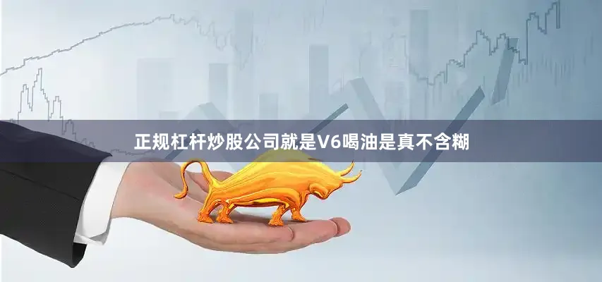 正规杠杆炒股公司就是V6喝油是真不含糊