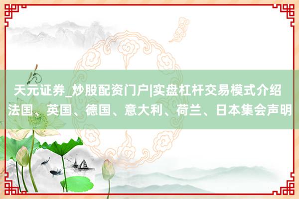 天元证券_炒股配资门户|实盘杠杆交易模式介绍 法国、英国、德国、意大利、荷兰、日本集会声明
