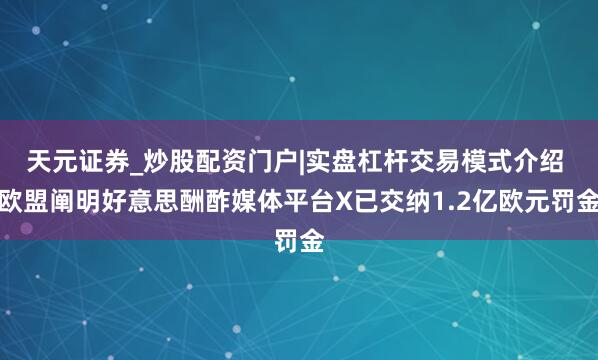 天元证券_炒股配资门户|实盘杠杆交易模式介绍 欧盟阐明好意思酬酢媒体平台X已交纳1.2亿欧元罚金