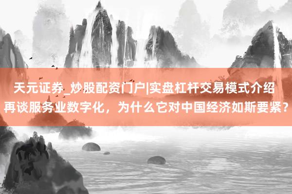 天元证券_炒股配资门户|实盘杠杆交易模式介绍 再谈服务业数字化，为什么它对中国经济如斯要紧？