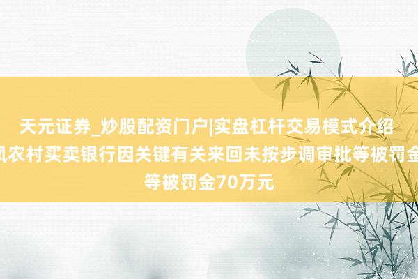 天元证券_炒股配资门户|实盘杠杆交易模式介绍 陕西丹凤农村买卖银行因关键有关来回未按步调审批等被罚金70万元