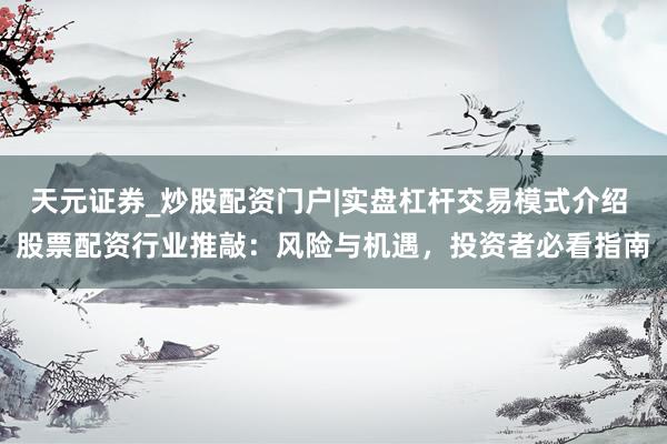 天元证券_炒股配资门户|实盘杠杆交易模式介绍 股票配资行业推敲：风险与机遇，投资者必看指南