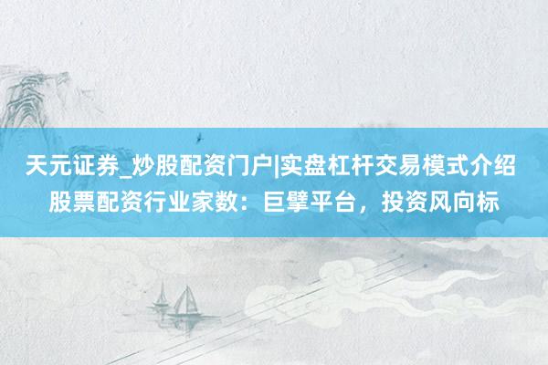 天元证券_炒股配资门户|实盘杠杆交易模式介绍 股票配资行业家数：巨擘平台，投资风向标
